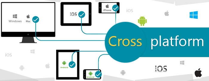 Cross Platform Development Benefits